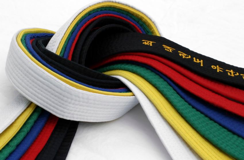 Purpose Of The Belts World Martial Arts Center